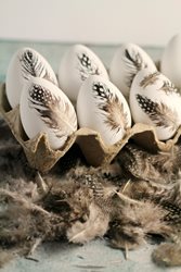 feather-eggs-4.jpg