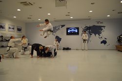 Taekwondo
